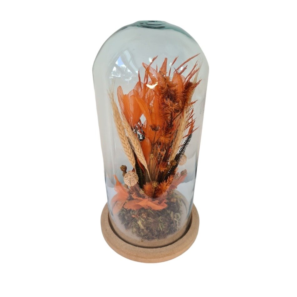 Redoma de vidro com flores desidratadas  Coleção Rubi