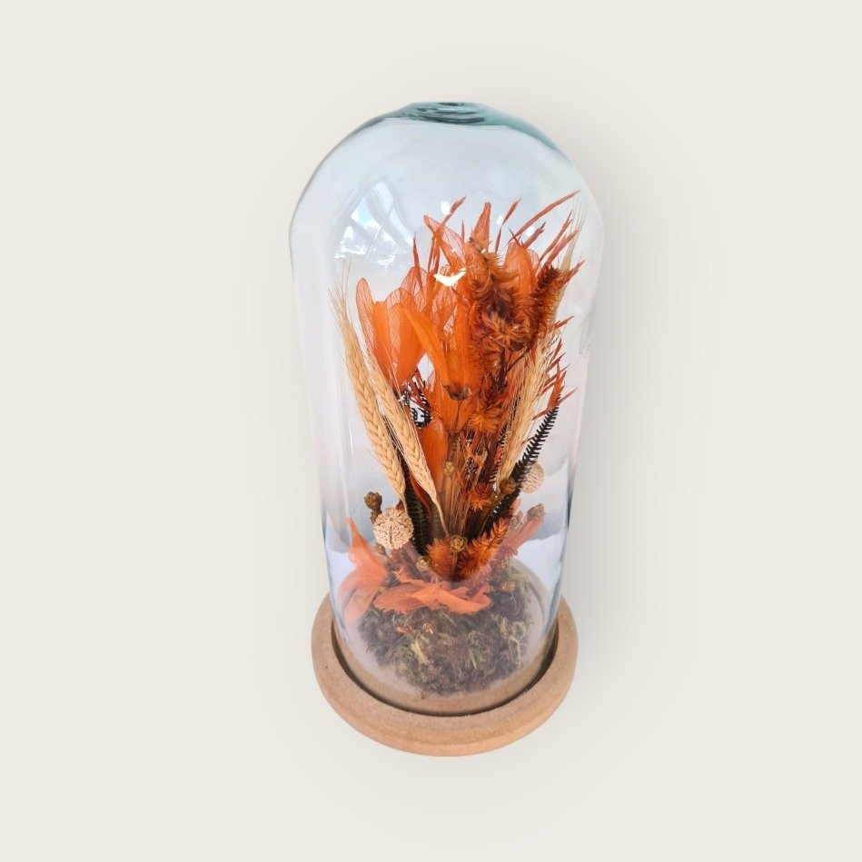 Redoma de vidro com flores desidratadas  Coleção Rubi