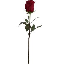 So Uma Rosa Importada
