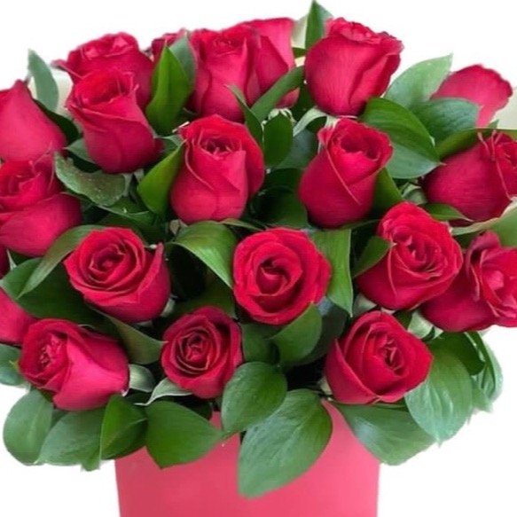 Box Com Rosas Vermelhas