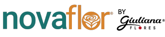 Loja Nova Flor